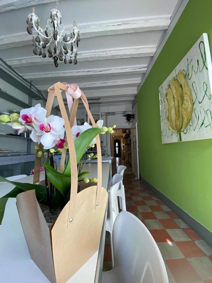 19伯格凯沃尔酒店 特雷维索 外观 照片